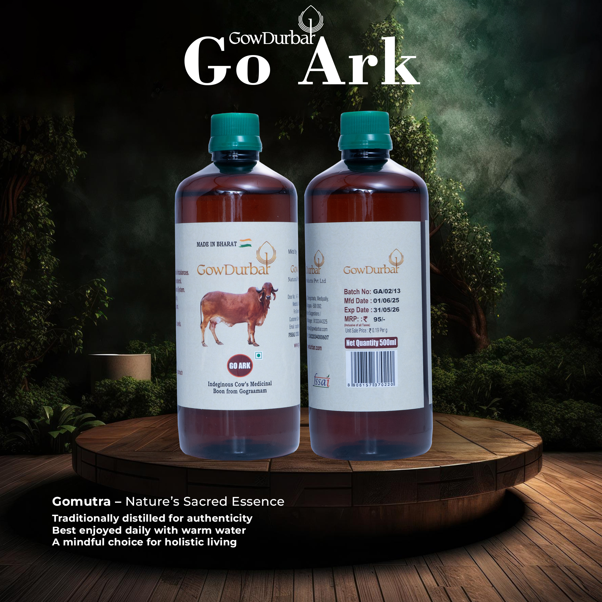 Go Ark - Image 3