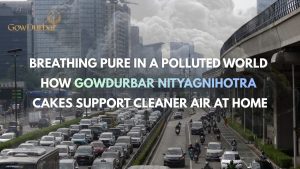 Breathing Pure in a Polluted World